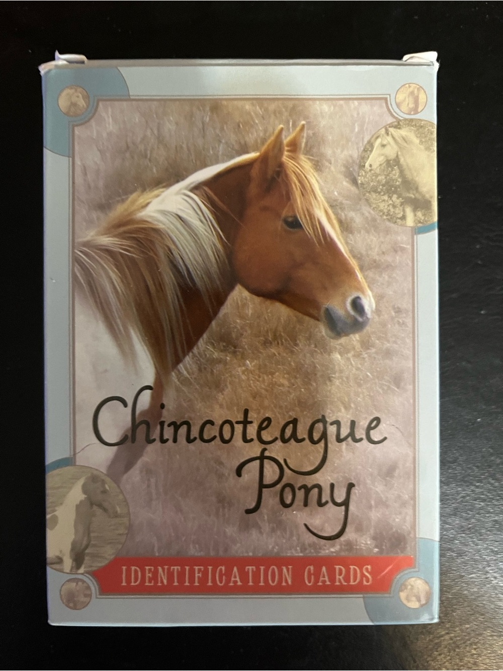 Identification Cards -Chincoteague Pony Card Set